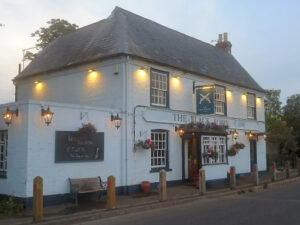 The Black Robin today